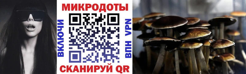 Псилоцибиновые грибы Cubensis  KRAKEN вход  Калач-на-Дону  продажа наркотиков 